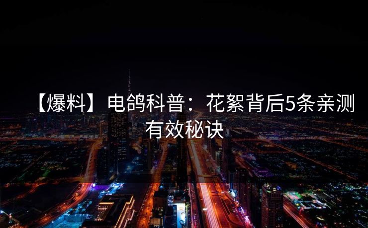 【爆料】电鸽科普：花絮背后5条亲测有效秘诀