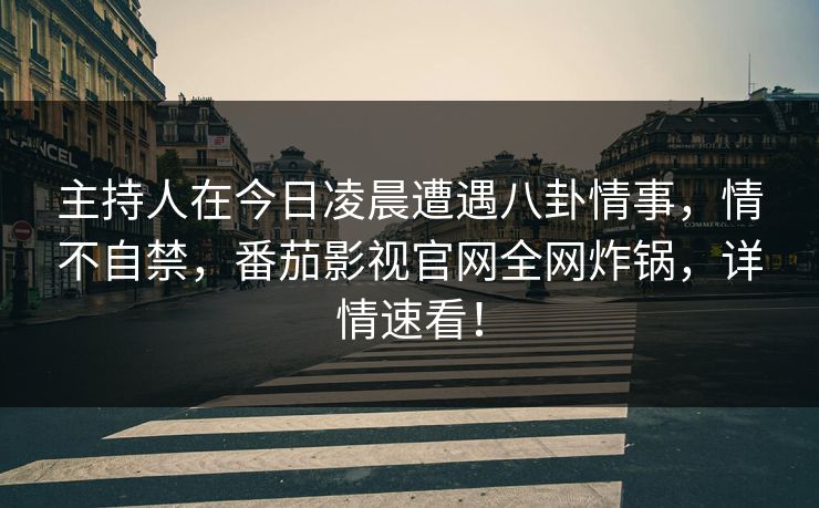 主持人在今日凌晨遭遇八卦情事，情不自禁，番茄影视官网全网炸锅，详情速看！
