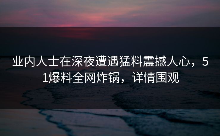 业内人士在深夜遭遇猛料震撼人心，51爆料全网炸锅，详情围观