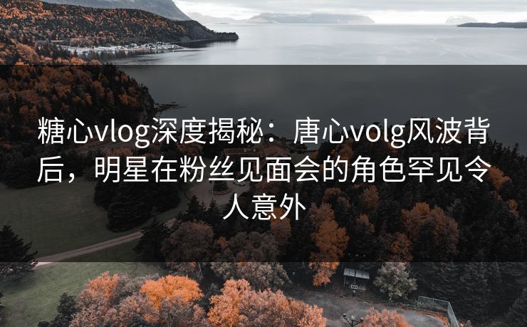 糖心vlog深度揭秘：唐心volg风波背后，明星在粉丝见面会的角色罕见令人意外